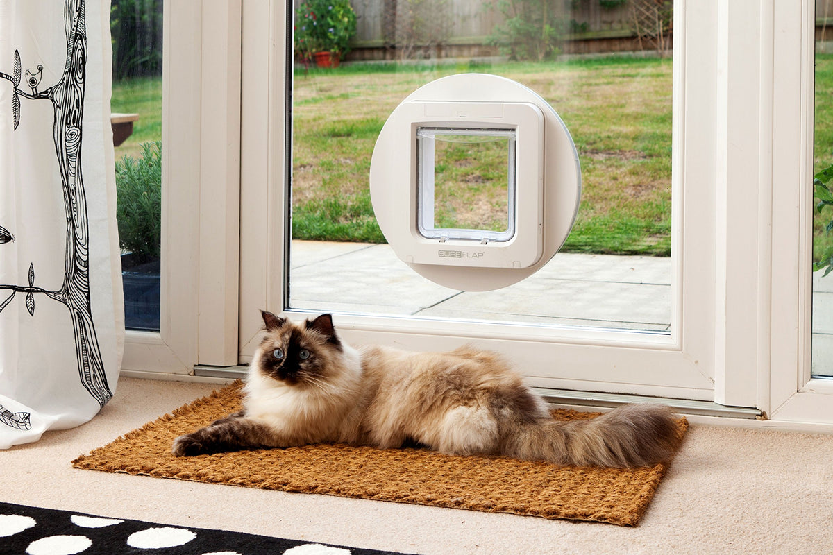 Chatière électronique pour chats et petits chiens 178 x 170 mm avec puce ou RFID mode couvre-feu 32 animaux 12 mois d’autonomie