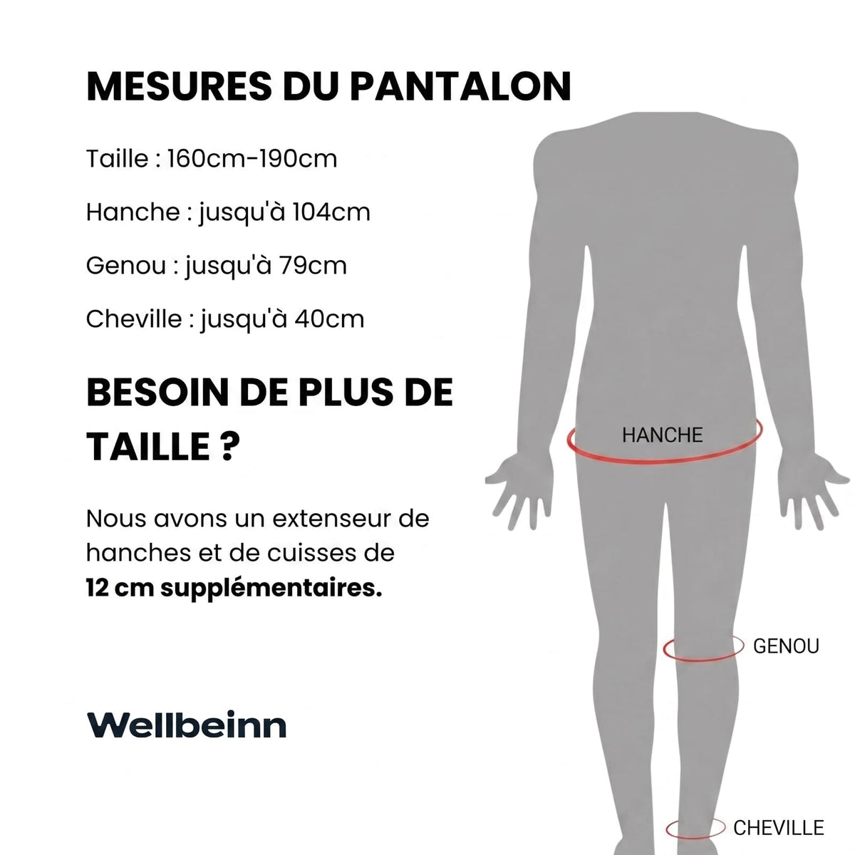 Pantalon de pressothérapie sans fil HighFly Pro 01 6 chambres 0 à 200 mmHg 6 niveaux 5 programmes écran LCD Bluetooth USB-C