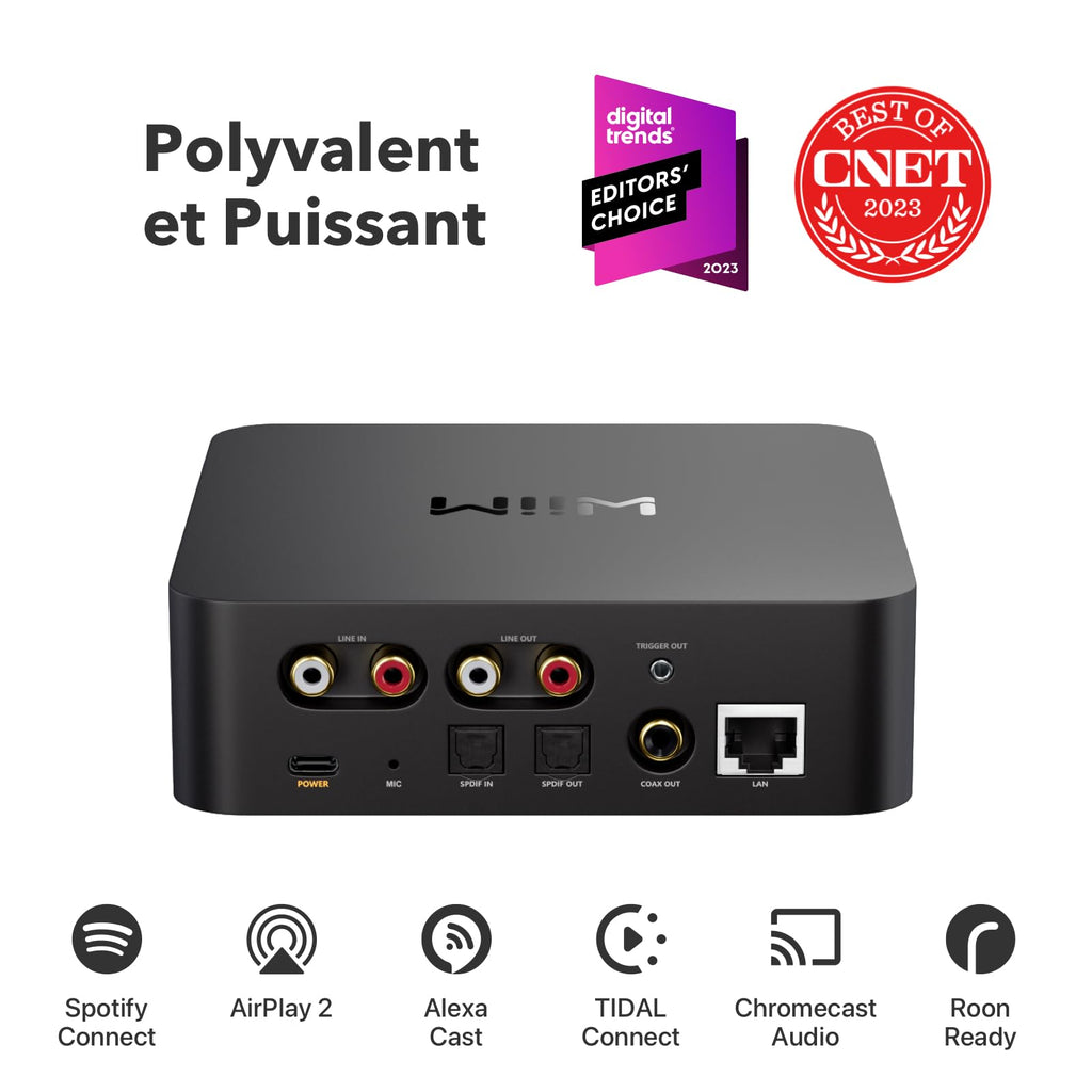 Streamer audio pour chaîne stéréo ASR002 AirPlay 2 Spotify Connect Wi-Fi Bluetooth Ethernet 24 bits 192 kHz