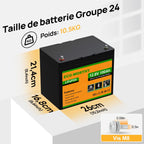 Batterie LiFePO4 12V 100Ah Bluetooth 1280Wh BMS protection basse température 100A rechargeable pour camping-car bateau solaire