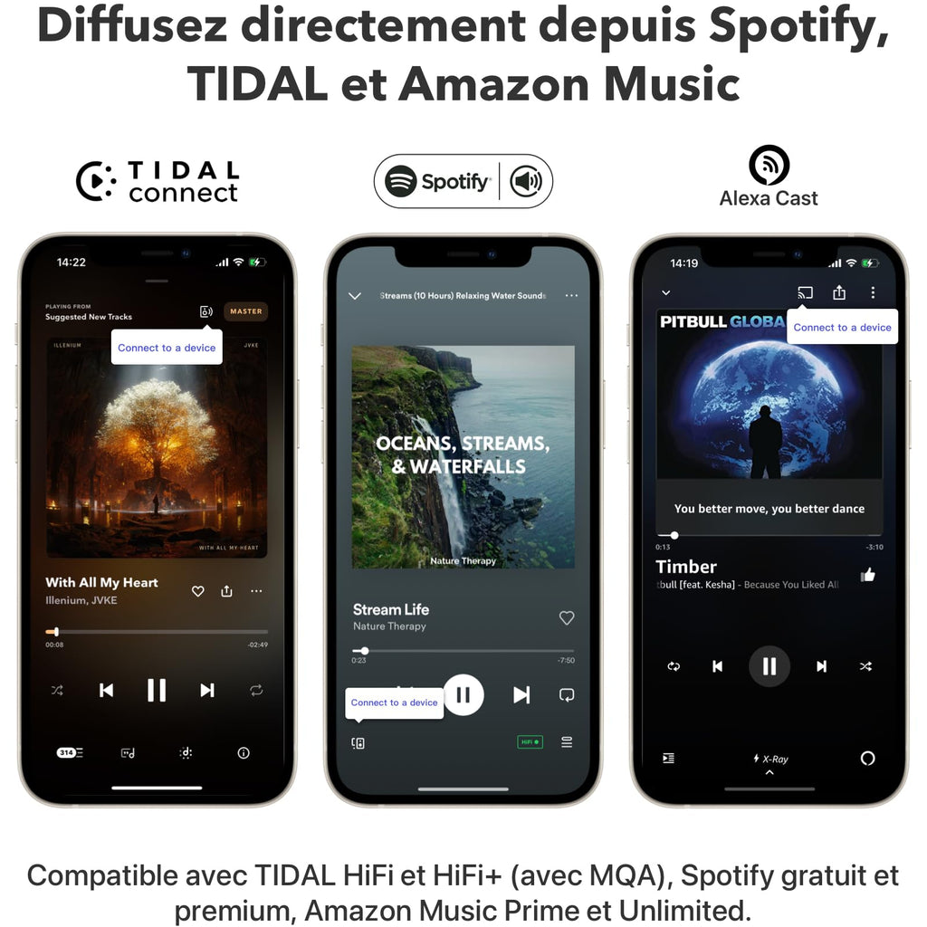 Streamer audio pour chaîne stéréo ASR002 AirPlay 2 Spotify Connect Wi-Fi Bluetooth Ethernet 24 bits 192 kHz