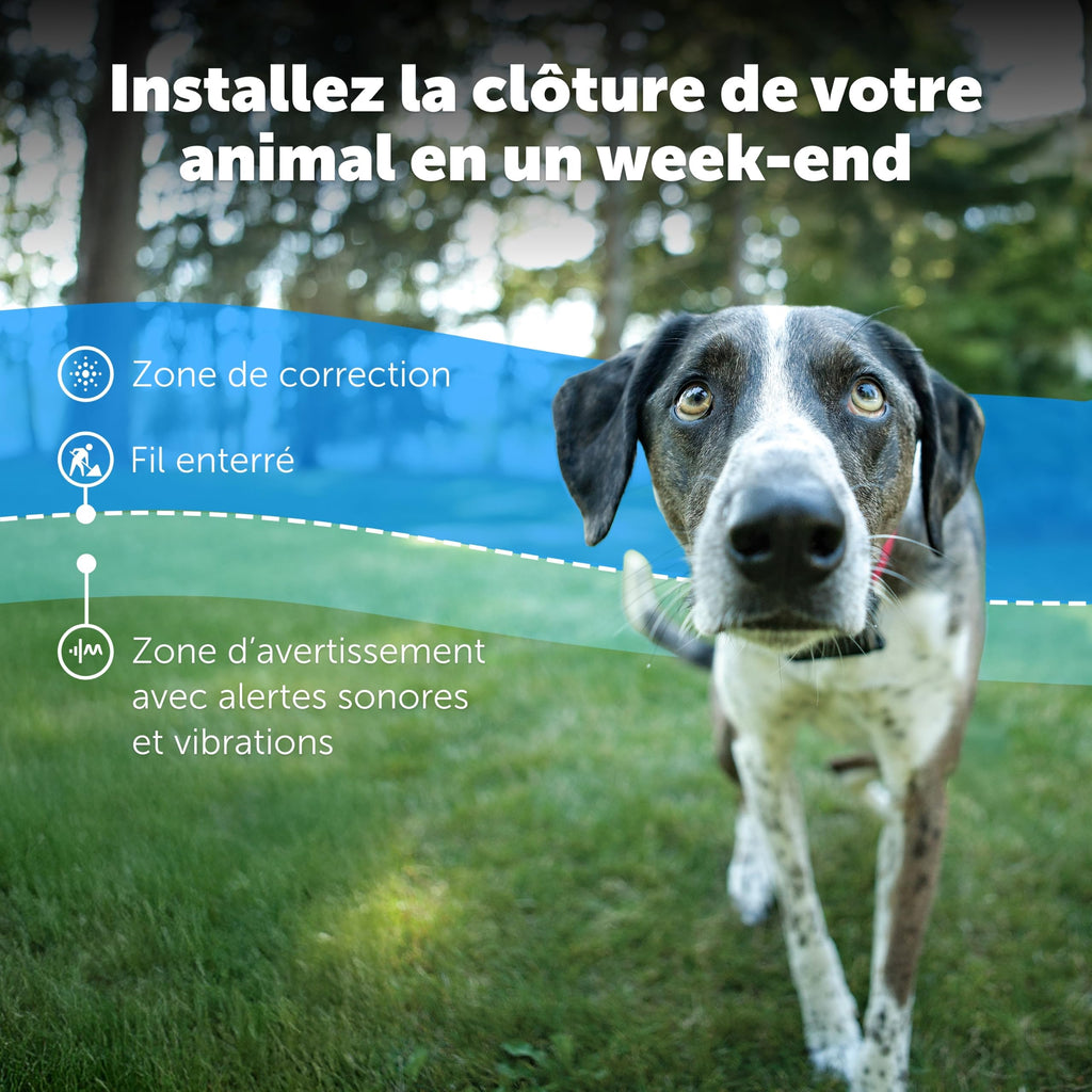 Clôture enterrée pour chiens têtus système anti-fugue avec collier 5 niveaux de correction sonore et vibration 15 à 71 cm