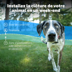 Clôture enterrée pour chiens têtus système anti-fugue avec collier 5 niveaux de correction sonore et vibration 15 à 71 cm