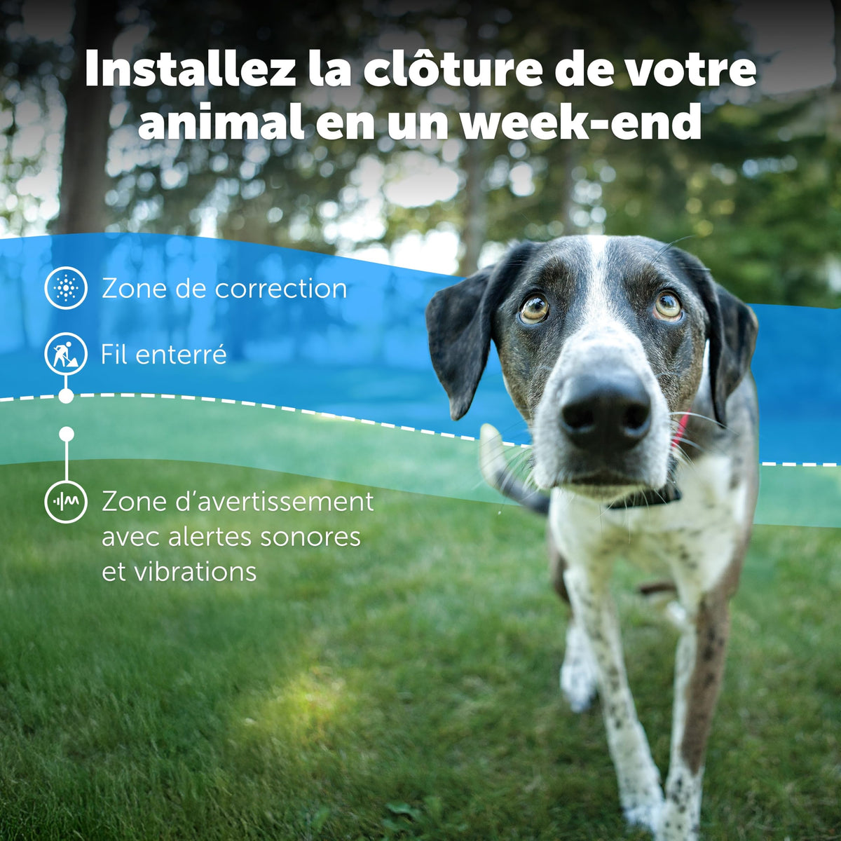 Clôture enterrée pour chiens têtus système anti-fugue avec collier 5 niveaux de correction sonore et vibration 15 à 71 cm