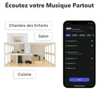 Streamer audio pour chaîne stéréo ASR002 AirPlay 2 Spotify Connect Wi-Fi Bluetooth Ethernet 24 bits 192 kHz