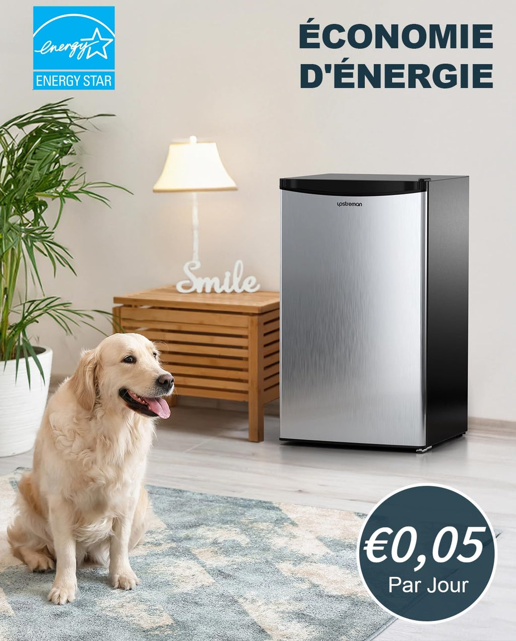 Mini réfrigérateur avec congélateur BR321 91 L 8,5 L congélateur 41 dB thermostat réglable 0 à 10 °C 2 clayettes bac à légumes