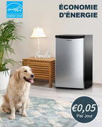 Mini réfrigérateur avec congélateur BR321 91 L 8,5 L congélateur 41 dB thermostat réglable 0 à 10 °C 2 clayettes bac à légumes