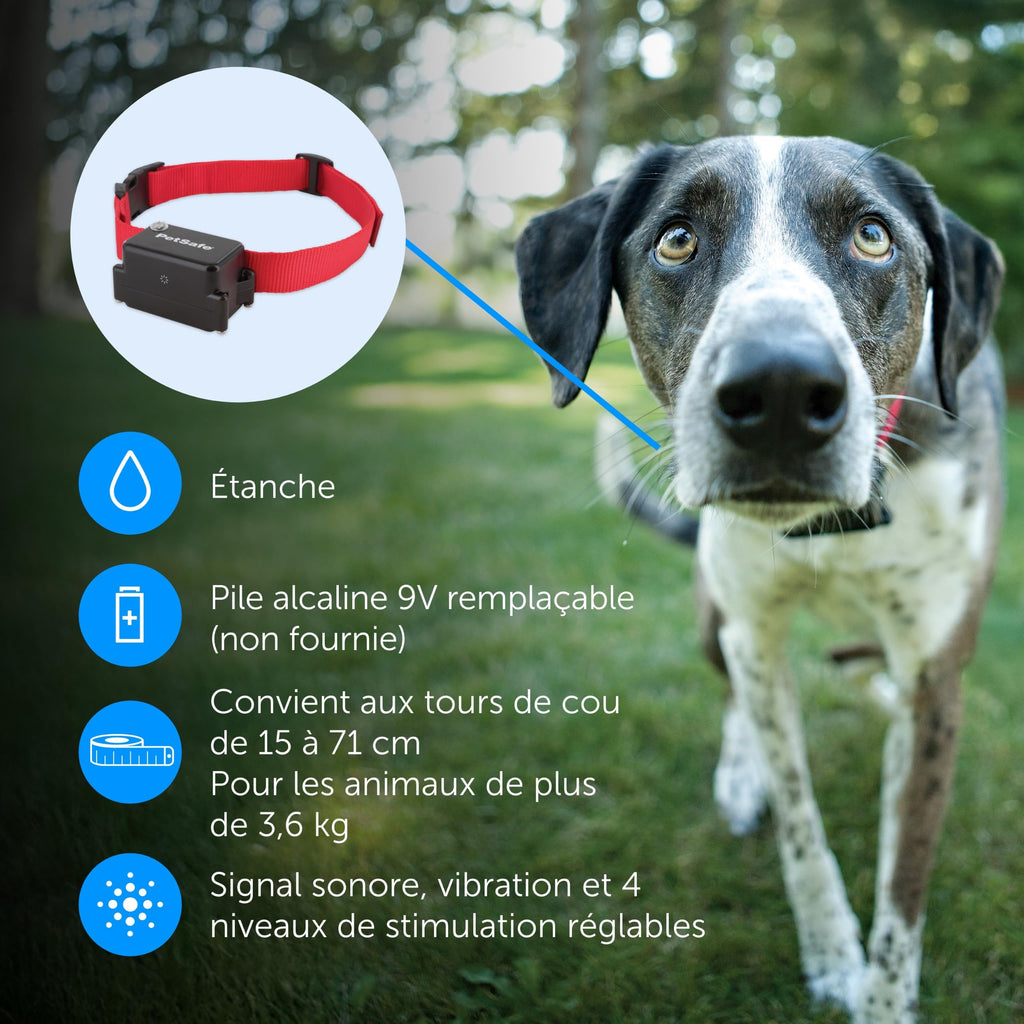Clôture enterrée pour chiens têtus système anti-fugue avec collier 5 niveaux de correction sonore et vibration 15 à 71 cm