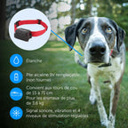 Clôture enterrée pour chiens têtus système anti-fugue avec collier 5 niveaux de correction sonore et vibration 15 à 71 cm