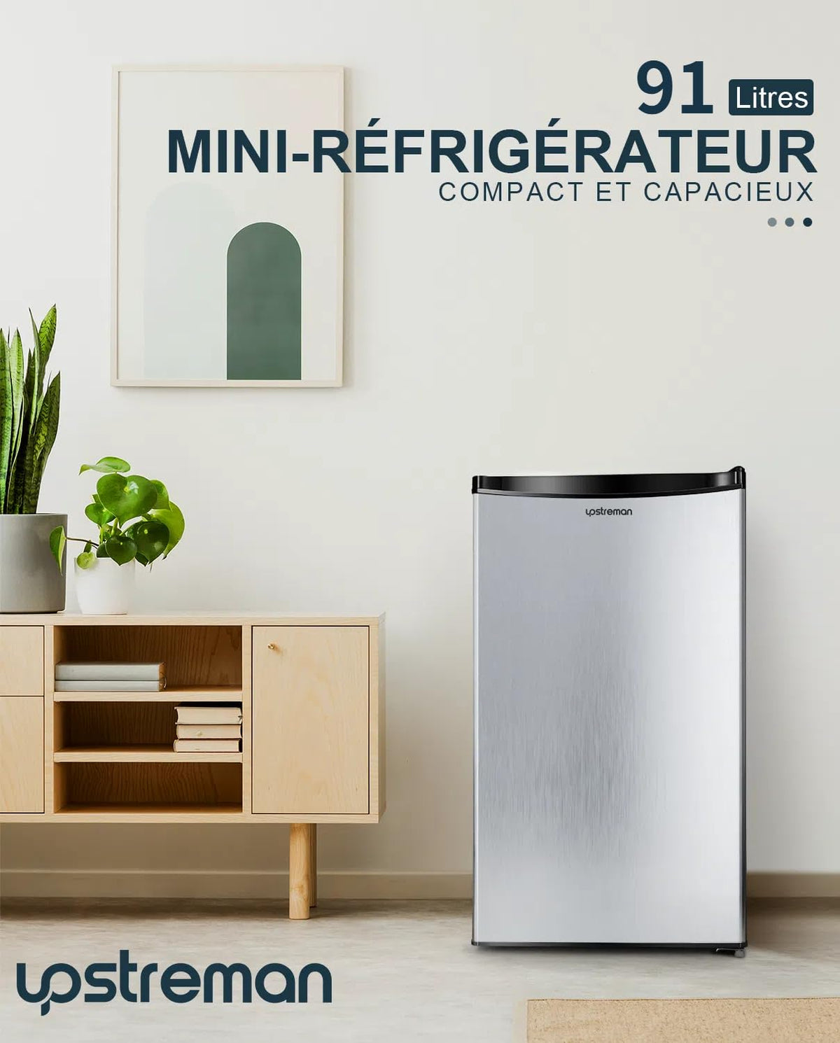 Mini réfrigérateur avec congélateur BR321 91 L 8,5 L congélateur 41 dB thermostat réglable 0 à 10 °C 2 clayettes bac à légumes