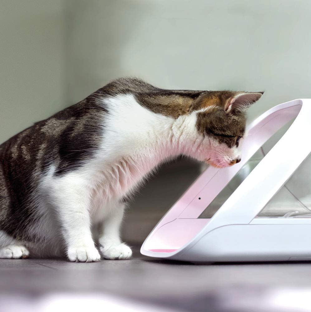 Distributeur de nourriture connecté SureFeed 400 ml puce électronique Wi-Fi application mobile accès sélectif pour chats