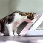 Distributeur de nourriture connecté SureFeed 400 ml puce électronique Wi-Fi application mobile accès sélectif pour chats