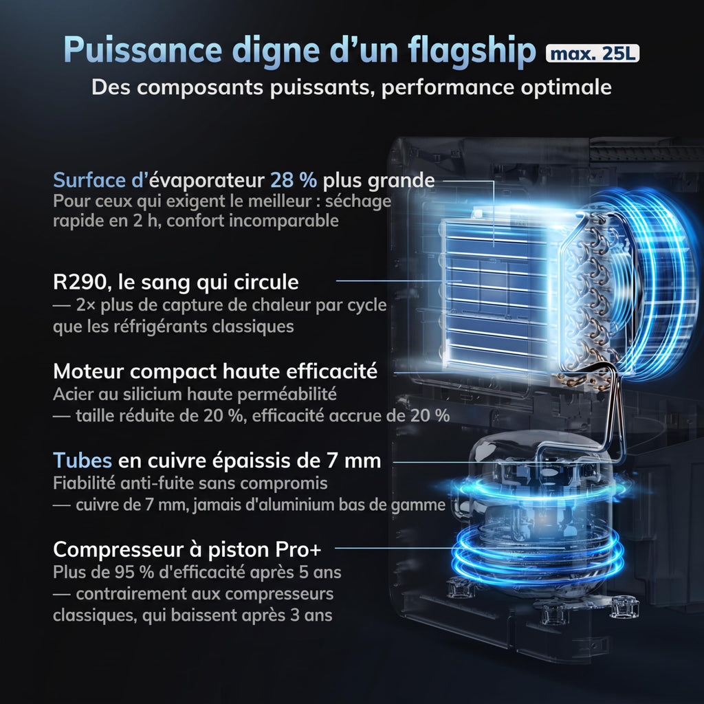 Déshumidificateur BOREAS-001 25 L/jour réservoir 2,7 L pour 50 m² drainage continu séchage du linge