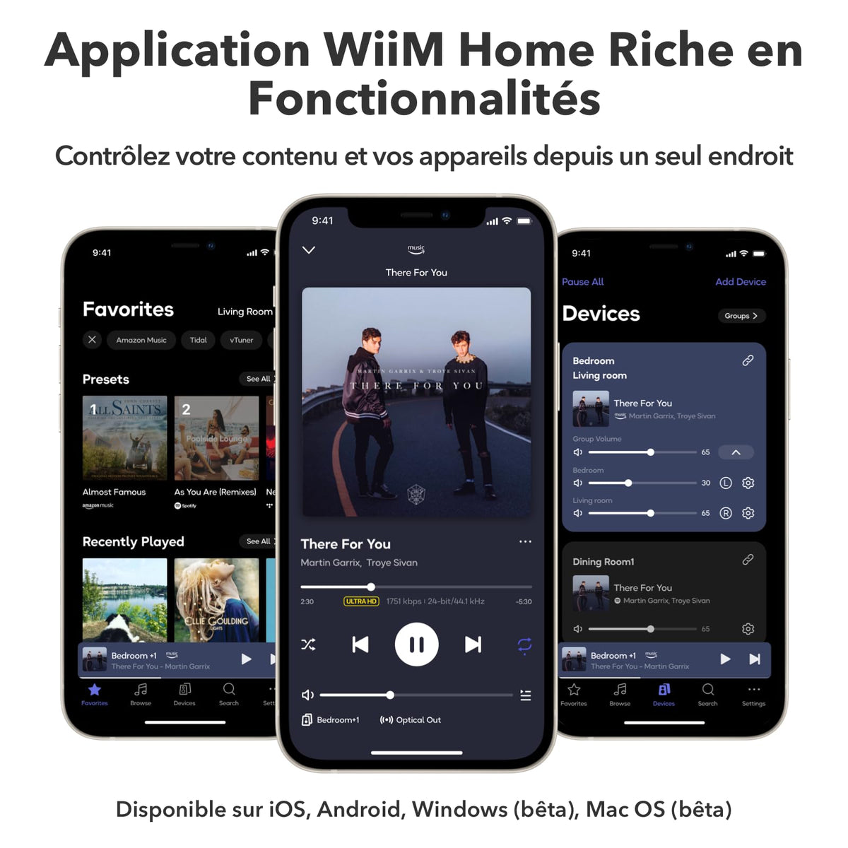 Streamer audio pour chaîne stéréo ASR002 AirPlay 2 Spotify Connect Wi-Fi Bluetooth Ethernet 24 bits 192 kHz