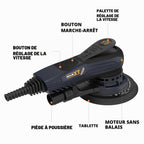 Ponceuse excentrique 150 mm R7303-4 sans balais 10000 tr/min 6 vitesses course 5 mm frein électronique 230 V 10 abrasifs câble 5 m