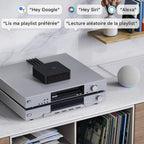 Streamer audio pour chaîne stéréo ASR002 AirPlay 2 Spotify Connect Wi-Fi Bluetooth Ethernet 24 bits 192 kHz