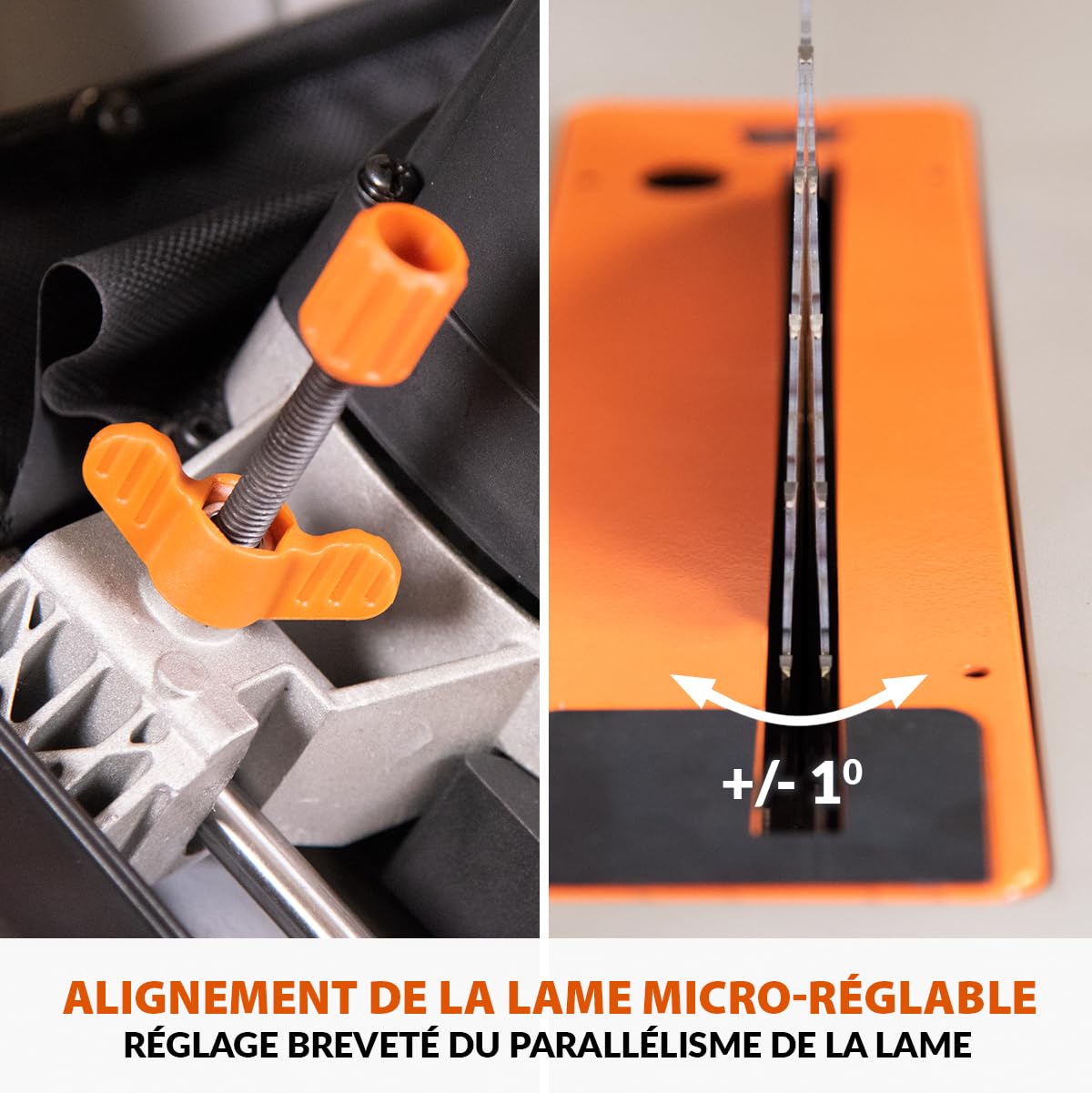 Scie de Table R255TBL+ 1800 W Lame TCT 256 mm Coupe Bois Métal Plastique Biseau 45° Profondeur 85 mm Frein Électrique