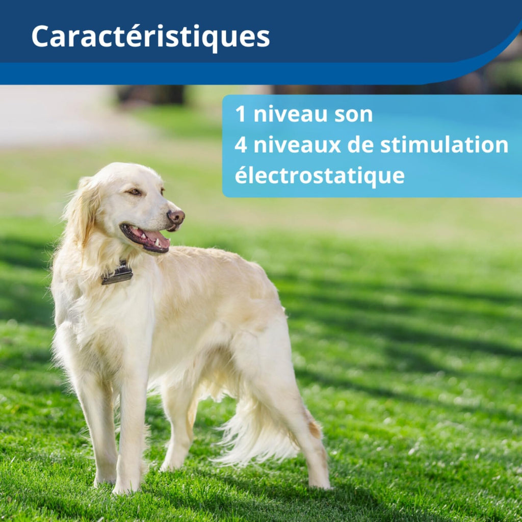 Système de Clôture Anti-Fugue pour Chien Fil 150 m 4 Niveaux de Stimulation Collier Rechargeable 0,13 Hectare