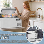 Glacière électrique portable 28 L à compresseur 12 V température réglable congélateur interne compact 1 clayette