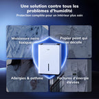 Déshumidificateur BOREAS-001 25 L/jour réservoir 2,7 L pour 50 m² drainage continu séchage du linge