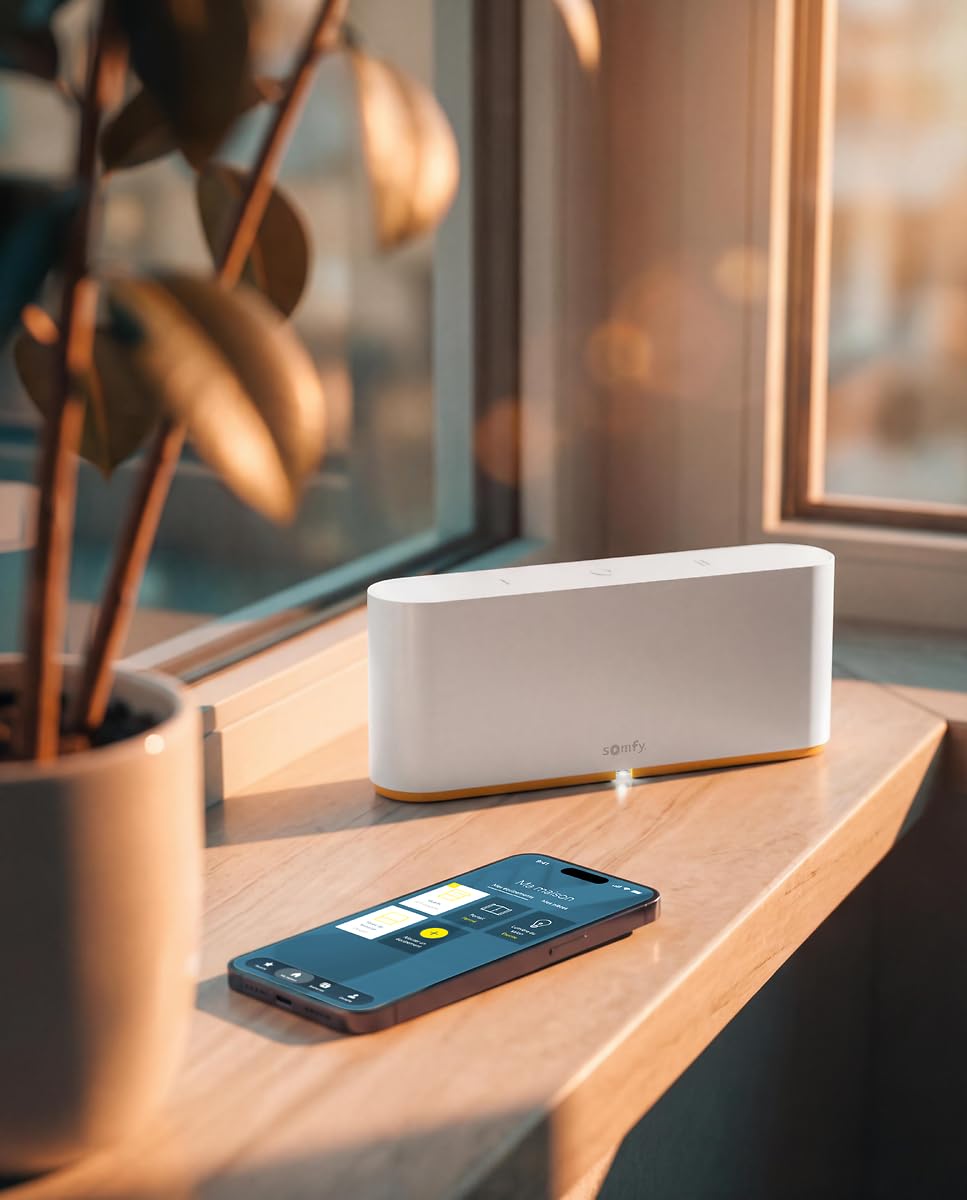 Box domotique TaHoma Switch contrôle à distance volets et équipements connectés compatible IO RTS Zigbee
