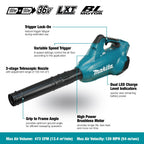 Souffleur sans fil 36 V DUB362Z 2 x 18 V Li-ion 96 dB 3 kg 66,8 x 27,5 x 31,8 cm machine seule