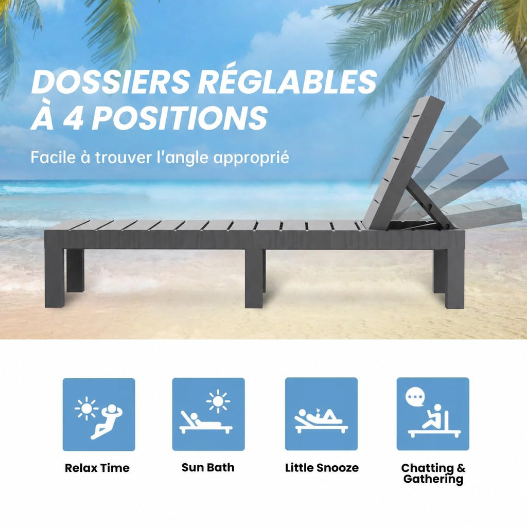 Lot de 2 Chaises Longues de Jardin BdsC2-2 Dossier Réglable 4 Positions Résine Gris 187 x 60 x 29 cm Charge 150 kg