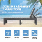 Lot de 2 Chaises Longues de Jardin BdsC2-2 Dossier Réglable 4 Positions Résine Gris 187 x 60 x 29 cm Charge 150 kg