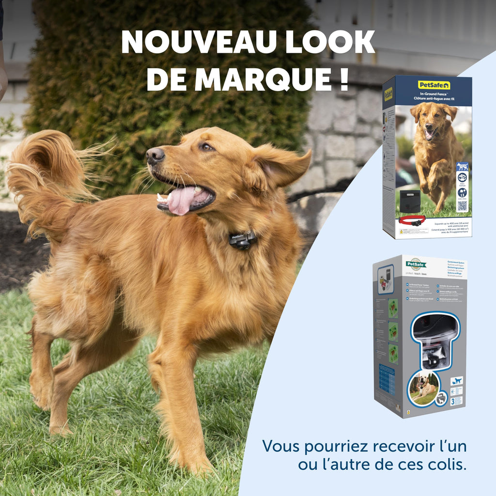 Système de Clôture Anti-Fugue pour Chien Fil 150 m 4 Niveaux de Stimulation Collier Rechargeable 0,13 Hectare