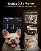 Distributeur automatique de croquettes pour chat 5 L double réservoir caméra HD 1080P reconnaissance faciale multi-chats Wi-Fi