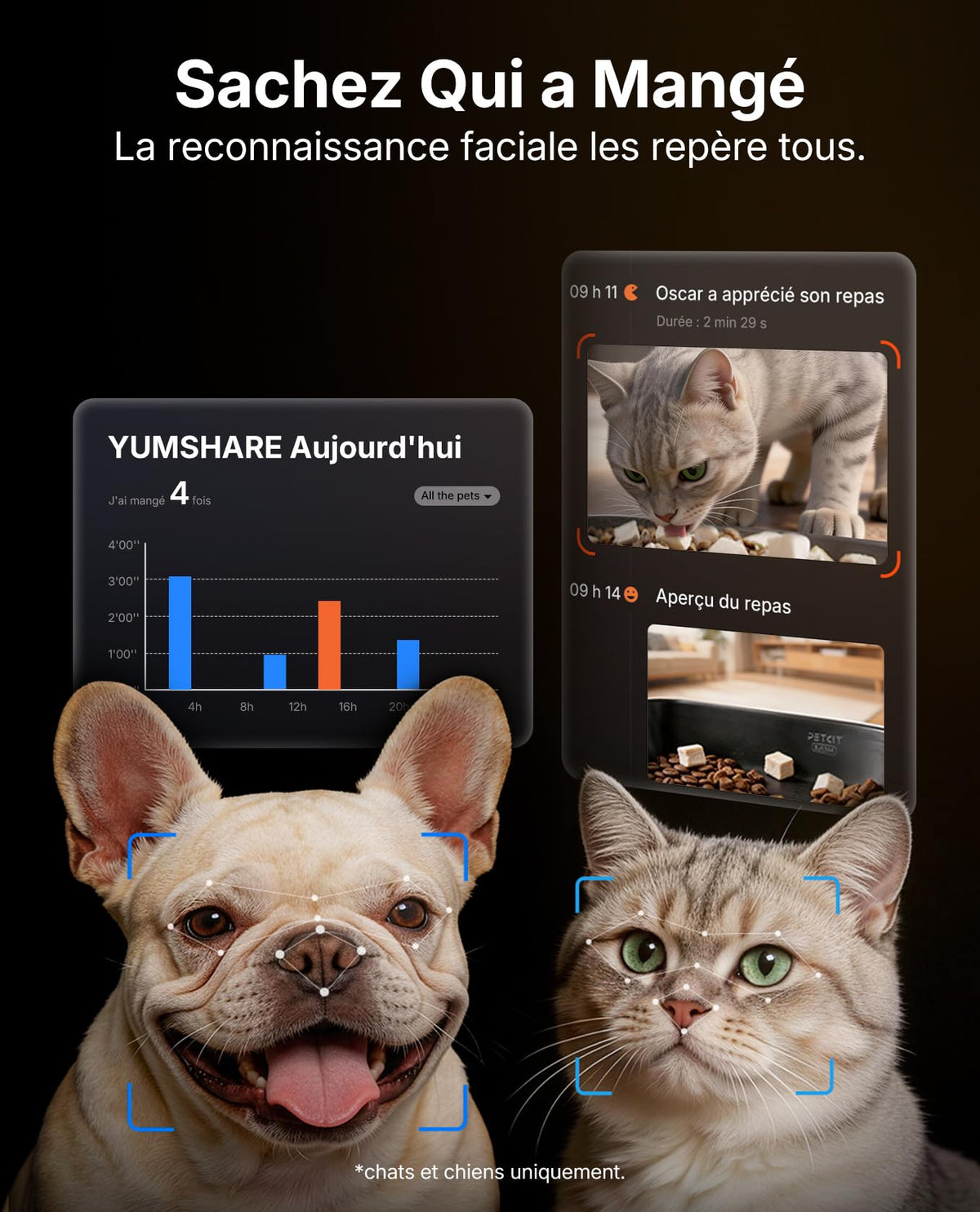 Distributeur automatique de croquettes pour chat 5 L double réservoir caméra HD 1080P reconnaissance faciale multi-chats Wi-Fi