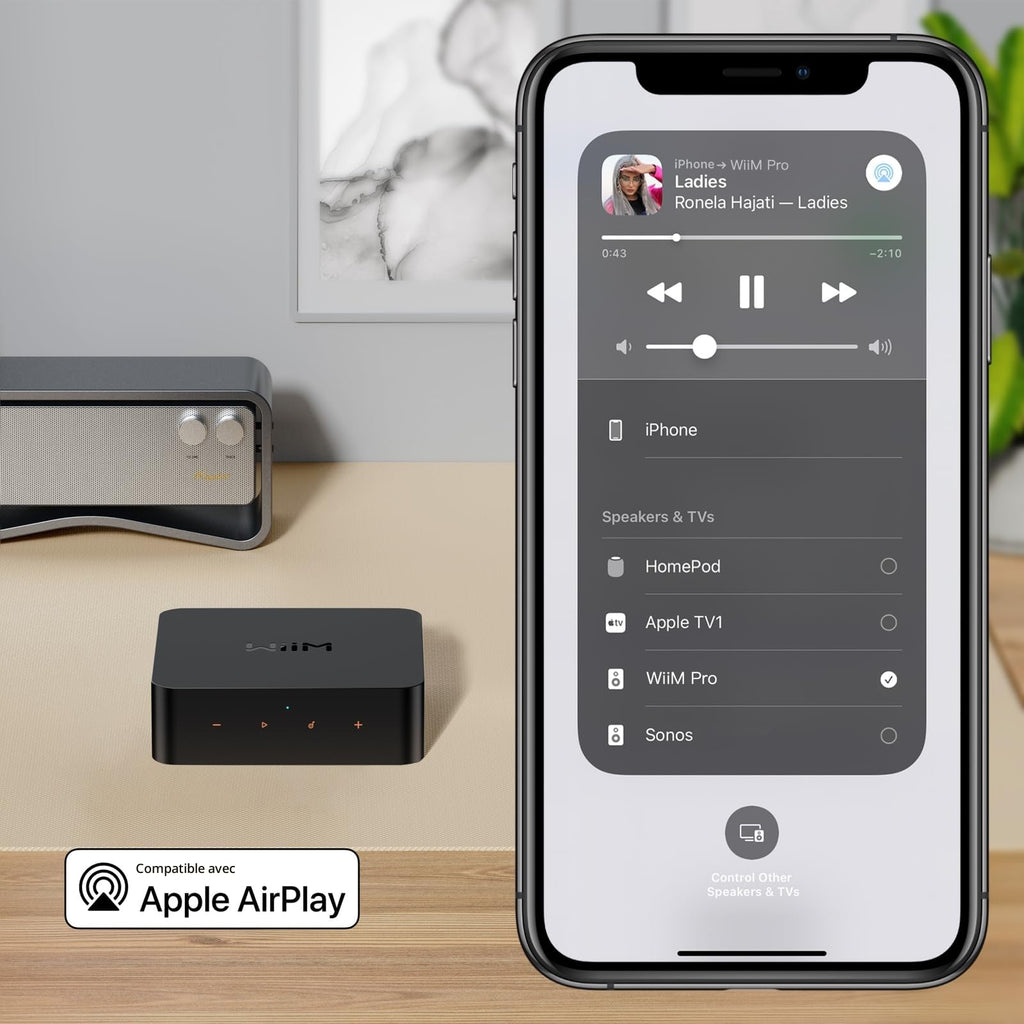 Streamer audio pour chaîne stéréo ASR002 AirPlay 2 Spotify Connect Wi-Fi Bluetooth Ethernet 24 bits 192 kHz