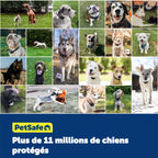 Clôture enterrée pour chiens têtus système anti-fugue avec collier 5 niveaux de correction sonore et vibration 15 à 71 cm