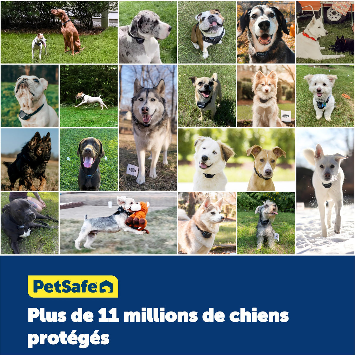 Clôture enterrée pour chiens têtus système anti-fugue avec collier 5 niveaux de correction sonore et vibration 15 à 71 cm