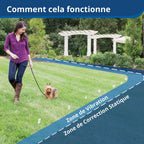 Clôture enterrée anti-fugue Elite pour petits chiens collier réglable 15 à 40 cm 4 niveaux de stimulation
