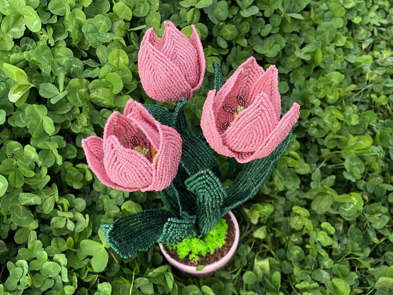 Bouquet de tulipes roses perlées, décoration florale pour la maison