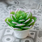 Plante grasse perlée en pot céramique, succulente artisanale, perles tchèques
