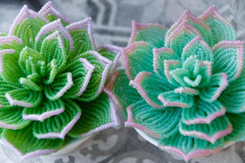 Plante grasse perlée en pot céramique, succulente artisanale, perles tchèques