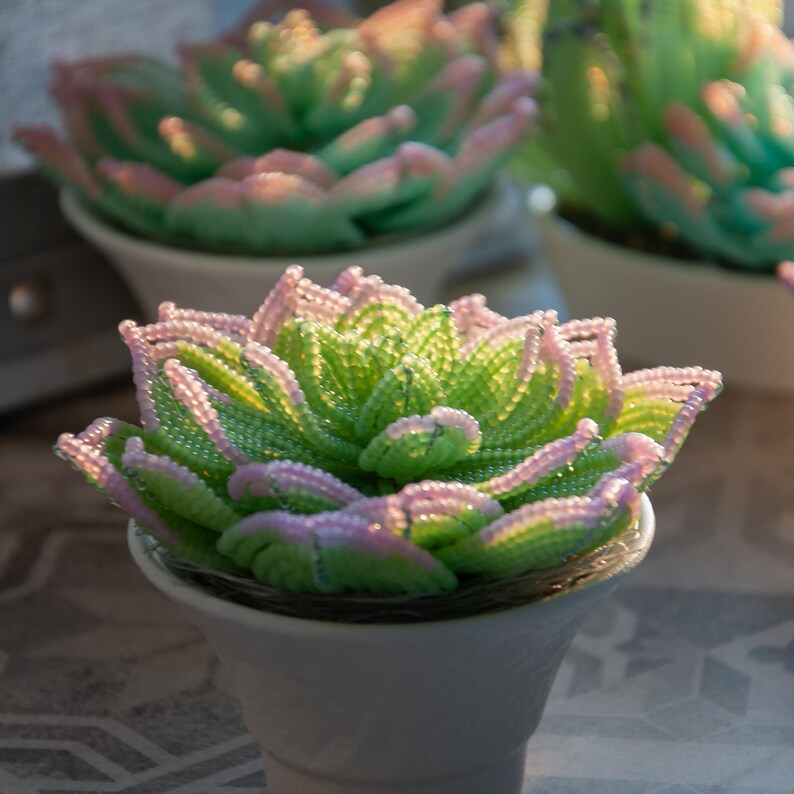 Plante grasse perlée en pot céramique, succulente artisanale, perles tchèques