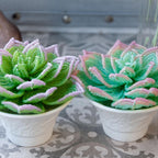 Plante grasse perlée en pot céramique, succulente artisanale, perles tchèques