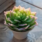 Plante grasse perlée en pot céramique, succulente artisanale, perles tchèques