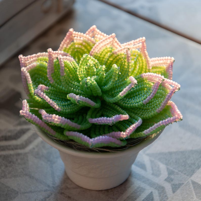 Plante grasse perlée en pot céramique, succulente artisanale, perles tchèques