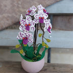 Orchidée topiaire artificielle perlée en pot