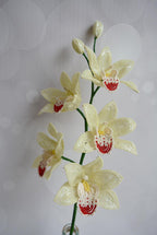Branche d'orchidée perlée cymbidium, décoration intérieure, fleur artificielle en perles et fil de fer, 5 fleurs 7-8 cm, hauteur 50 cm, choix de couleur