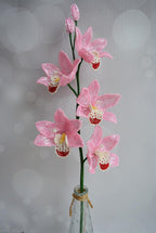 Branche d'orchidée perlée cymbidium, décoration intérieure, fleur artificielle en perles et fil de fer, 5 fleurs 7-8 cm, hauteur 50 cm, choix de couleur
