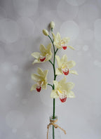 Branche d'orchidée perlée cymbidium, décoration intérieure, fleur artificielle en perles et fil de fer, 5 fleurs 7-8 cm, hauteur 50 cm, choix de couleur