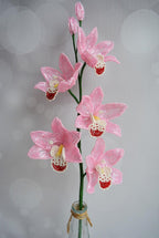 Branche d'orchidée perlée cymbidium, décoration intérieure, fleur artificielle en perles et fil de fer, 5 fleurs 7-8 cm, hauteur 50 cm, choix de couleur