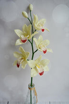 Branche d'orchidée perlée cymbidium, décoration intérieure, fleur artificielle en perles et fil de fer, 5 fleurs 7-8 cm, hauteur 50 cm, choix de couleur