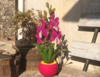 Orchidée en perles magenta dans un pot rose, art floral fait main