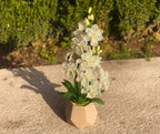 Sculpture d'orchidée en perles blanche artificielle, fleur en pot, ornement de bureau